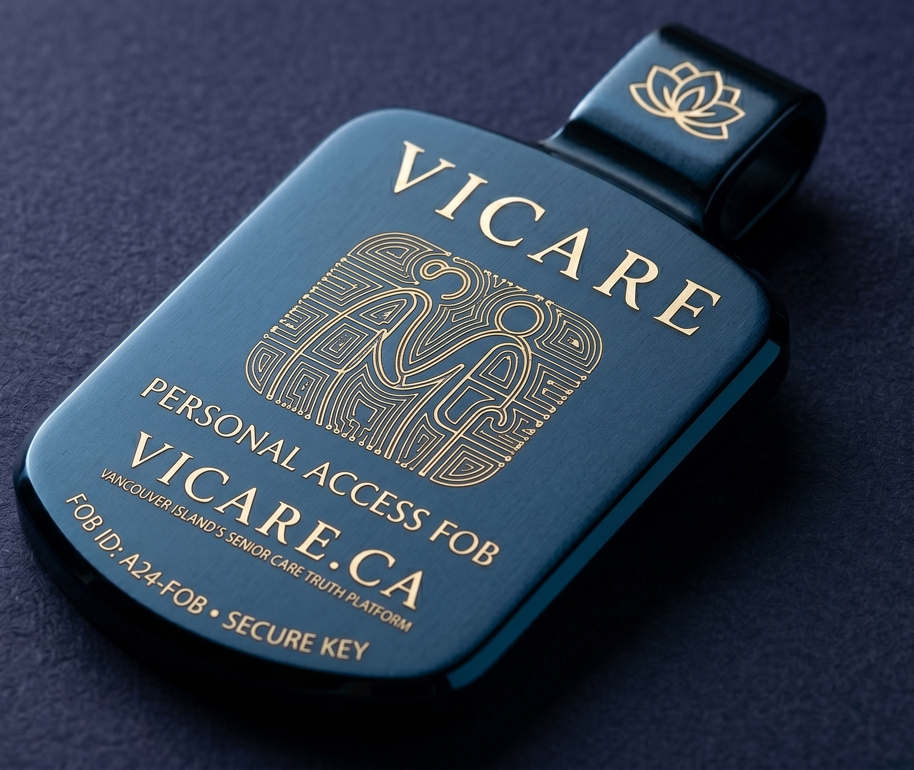 ViCare Personal Access Fob